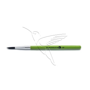 /cameleon/CAMBRSB6