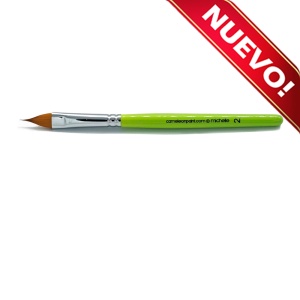 /cameleon/newCAMBMICH2