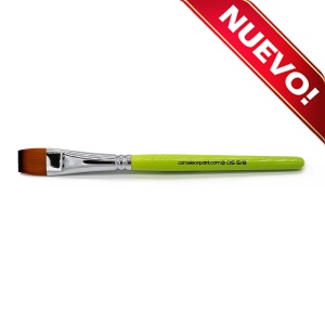 /cameleon/newCAMBOST58